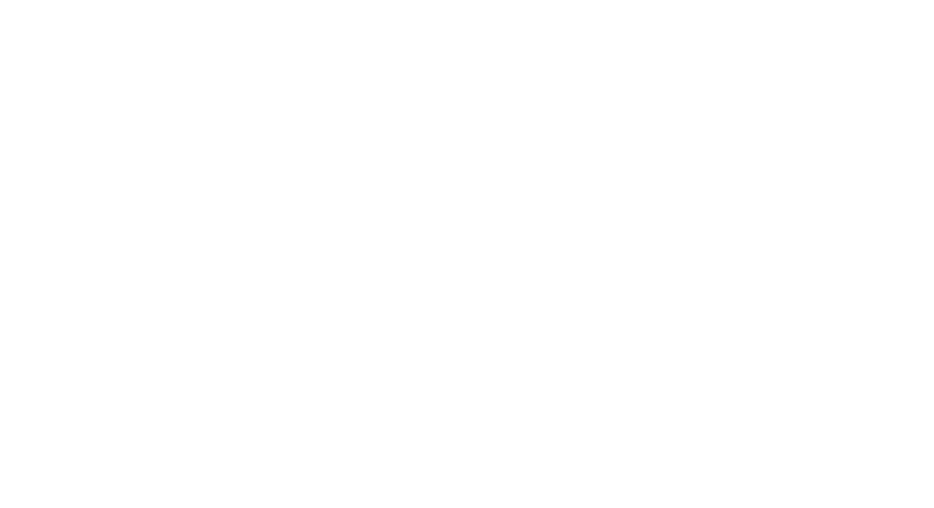RAA Logo white 1